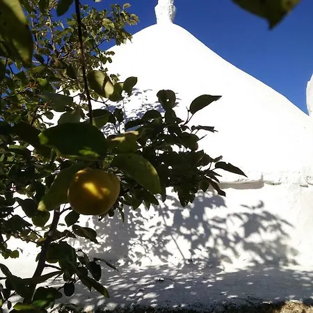 Oasi Dei Trulli Σπίτι διακοπών Ceglie Messapica